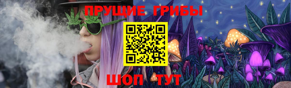 Псилоцибиновые грибы Psilocybine cubensis Курганинск
